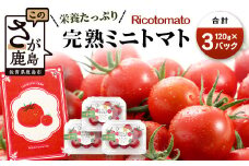 【先行予約】【2025年12月中旬から出荷】完熟ミニトマト 【少量パック】 120gx3p　たにぐちファーム 完熟ミニトマト 360g とりこになるトマト 野菜 とまと トマト リコピン 佐賀産 佐賀県 鹿島市　A-212