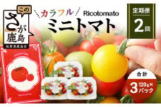 【2回定期便】【先行予約】 カラフルミニトマト 【少量パック】120gx3p　たにぐちファーム カラフルミニトマト 360g とりこになるトマト 野菜 とまと トマト リコピン 佐賀産 佐賀県 鹿島市　C-147