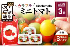 【3回定期便】【先行予約】 カラフルミニトマト 【少量パック】 120gx3p　たにぐちファーム カラフルミニトマト 360g とりこになるトマト 野菜 とまと トマト リコピン 佐賀産 佐賀県 鹿島市　D-241