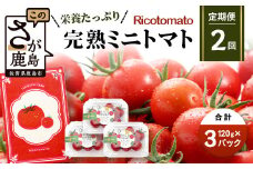 【2回定期便】【先行予約】【2026年1月から出荷】完熟ミニトマト 【少量パック】120gx3p　たにぐちファーム 完熟ミニトマト 360g とりこになるトマト 野菜 とまと トマト リコピン 佐賀産 佐賀県 鹿島市　C-148