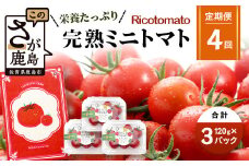 【4回定期便】【先行予約】【2026年1月から出荷】完熟ミニトマト 【少量パック】120gx3p　たにぐちファーム 完熟ミニトマト 360g とりこになるトマト 野菜 とまと トマト リコピン 佐賀産 佐賀県 鹿島市　E-160