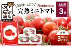 【3回定期便】【先行予約】【2026年1月から出荷】完熟ミニトマト 【少量パック】120gx3p　たにぐちファーム 完熟ミニトマト 360g とりこになるトマト 野菜 とまと トマト リコピン 佐賀産 佐賀県 鹿島市　D-242