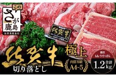 佐賀牛切り落とし【もも、うで、ばら】600g×2P(1.2kg)｜佐賀牛 和牛 国産牛 高級 ごちそう ギフト グルメ 贅沢 ふるさと納税 ブランド牛 佐賀県 鹿島市 お取り寄せ 牛肉好き必見 鹿島 もも うで ばら 切り落とし 牛肉 贅沢な食事　D-233