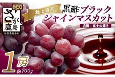 希少 ブラック シャインマスカット 富士の輝き 1房 約700g 【先行予約】【2025年8月下旬〜9月下旬発送予定】高糖度 ブラックシャインマスカット マスカット フルーツ 果物 ぶどう 新鮮 生産者直送 葡萄 佐賀県 鹿島市 送料無料 C-156