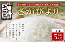 【鹿島市産】＼生産者直送／ さがびより 白米5kg　さがびより 佐賀県産さがびより 佐賀県鹿島市 お米 米 精米 玄米 ふるさと納税 お米 ご家庭用米 主食ギフト 美味しいお米 お取り寄せ 贈答用米 食卓応援　C-153