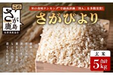 【鹿島市産】＼生産者直送／ さがびより 玄米5kg　さがびより 佐賀県産さがびより 佐賀県鹿島市 お米 米 精米 玄米 ふるさと納税 お米 ご家庭用米 主食ギフト 美味しいお米 お取り寄せ 贈答用米 食卓応援　C-152