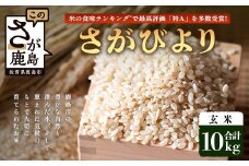 【鹿島市産】＼生産者直送／ さがびより 玄米10kg　さがびより 佐賀県産さがびより 佐賀県鹿島市 お米 米 精米 玄米 ふるさと納税 お米 ご家庭用米 主食ギフト 美味しいお米 お取り寄せ 贈答用米 食卓応援　D-249
