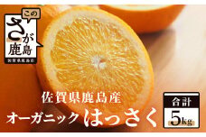B-75 オーガニック はっさく 八朔 佐賀県 鹿島産 ５ｋｇ