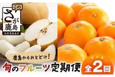 【定期便 2回】鹿島からお届けフルーツ定期便 梨5kg・佐賀美人(みかん)5kg｜ ふるさと納税 フルーツ 果物 定期便 定期 佐賀美人 梨 くだもの バラエティ セット 佐賀県 鹿島市 送料無料 人気　D-273