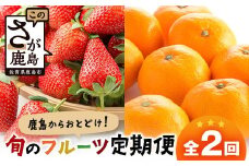 【定期便 2回】鹿島からお届けフルーツ定期便 佐賀美人(みかん)5kg・いちごさん240g×4パック｜ ふるさと納税 フルーツ 果物 定期便 定期 佐賀美人 いちごさん いちご みかん くだもの バラエティ セット 佐賀県 鹿島市 送料無料 人気　D-274