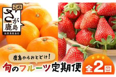【定期便 2回】鹿島からお届けフルーツ定期便 佐賀県産みかん2kg・佐賀県産いちご240g×2パック｜ ふるさと納税 フルーツ 果物 定期便 定期 みかん いちご くだもの バラエティ セット 佐賀県 鹿島市 送料無料 人気　B-668teiki