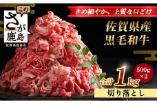 【配送月指定対応可】佐賀県産 黒毛和牛 切り落とし 500g×2 合計1kg C-161 牛肉 お肉 すき焼き すきやき しゃぶしゃぶ 年内発送 年末配送 切り落し 切落し 切りおとし