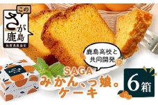 【鹿島高校 共同開発返礼品】SAGAみかん、っ娘。ケーキ 6箱（合計24個入り）C-157 スイーツ ケーキ 焼き菓子 焼菓子 みかん ミカン 蜜柑 みかんケーキ ミカンケーキ お土産 ご当地スイーツ プレゼント ギフト おみやげ