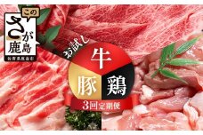 合計3.02kg 定期便 3回 佐賀の牛・豚・鶏 お試し定期便 E-173