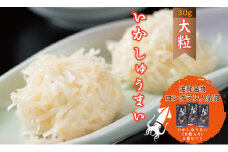 いかしゅうまい（8粒入り）3箱セット 佐賀 イカ