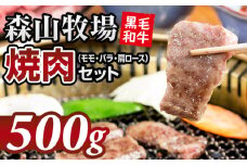 鮮度が違う！森山牧場 焼肉セット（500g）  黒毛和牛