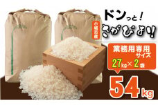 令和6年度産 佐賀ブランド米「さがびより」（白米）54kg（27kg×2）  大坪精米所