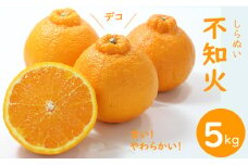 【先行予約受付中】ご家庭用 不知火（しらぬい）５kg 頭のデコが ぽん とした サクサクの甘い食感 みかん 柑橘