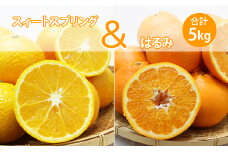 【先行予約受付中】ご家庭用スイートスプリングとはるみセット（５kg）柑橘詰め合わせ みかん フルーツ セット