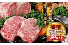 森山牧場産 黒毛和牛ステーキ （250g×2） 黒毛和牛