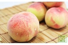 ご家庭用小城の桃（1kg）ジューシー果汁が溢れるモモ 