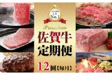 【定期便】 佐賀牛食べ尽くし12回（毎月）お肉の定期便 (12ヶ月連続お届け)  肉本舗 小城 A5～A4 牛肉 赤身 牛 ロース ステーキ しゃぶしゃぶ スライス ハンバーグ 焼肉 