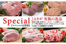 【定期便】 佐賀牛と肥前さくらポークのフルコース定期便(12ヶ月連続お届け)  JA