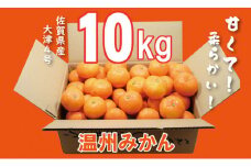 大好評！ご家庭用 大津みかん（10kg）コタツで甘いみかん！柑橘 温州