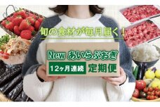 【定期便】 小城の特産品・逸品お届け便 ニューあいらぶおぎセット  (12ヶ月連続毎月お届け)
