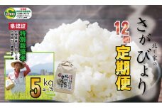 【定期便】(12ヶ月連続お届け)  佐賀県認定 特別栽培米 さがびより  （5kg×12回）北川農産 