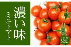 真子のミニトマト（1,3kg） 新鮮 コメント高評価  農家直送便