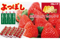 【先行予約令和8年1月配送開始】 佐賀県産いちご「よつぼし」（230g×2パック） しもむら農園 イチゴ 苺