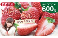 【先行予約令和8年2月配送開始】いちごさん 2箱セット（合計 600g） ふるかわ農園  苺 甘い 酸っぱい いちご いちごさん イチゴ 2パック 苺 人気 佐賀 佐賀県  小城市