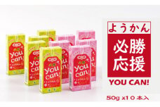  you can! ようかん10本入（小城羊羹）合格祈願！ 部活応援！ 天山本舗 詰め合わせ 父の日 母の日 敬老の日 お茶 スポーツ ようかん 一口サイズ ミニサイズ