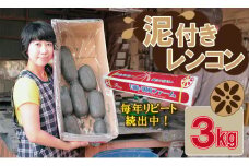 佐賀県産 泥付き レンコン（3kg）有明・潮風ファーム 蓮根 れんこん