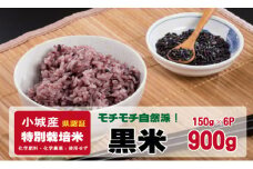佐賀県認定 特別栽培 （化学肥料・化学農薬使用せず）モチモチ自然派食「黒米」（150g×6個）