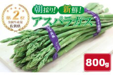 全国生産量 第2位！アスパラガス（800g）新鮮採れたて 農家直送 佐賀県産