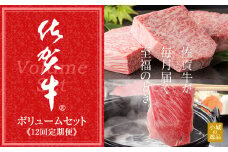 【定期便】佐賀牛 ボリューム 毎月 お届け セット (12ヶ月連続お届け)　 A5～A4 ランク 肉本舗 小城 高級 ブランド 牛