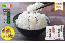 令和6年度産 佐賀県認定 特別栽培米 食べ比べ さがびより・ヒノヒカリ 合計10kg（5㎏×各1袋）しもむら農園 