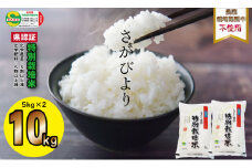 令和6年度産 「農薬：栽培期間中不使用」さがびより（5㎏×2袋）しもむら農園 