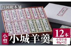 小型小城羊羹12本詰（村岡総本舗）詰め合わせ 父の日 母の日 敬老の日 お茶 スポーツ ようかん 一口サイズ ミニサイズ