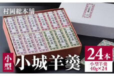 小型小城羊羹24本詰（村岡総本舗）詰め合わせ 父の日 母の日 敬老の日 お茶 スポーツ ようかん 一口サイズ ミニサイズ