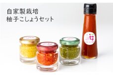 自家製栽培の地元人気の柚子こしょうセット