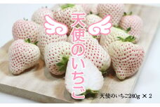 佐賀県産いちご 天使のいちご240g X 2パック 凛々 苺