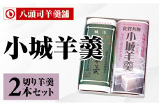 小城羊羹 切り羊羹2本入 八頭司 羊羹 贈答用 贈り物 和菓子 詰め合わせ 父の日 母の日 敬老の日 お茶 スポーツ ようかん