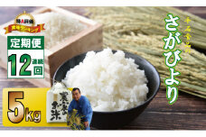 【定期便】(12ヶ月連続お届け)  さがびより(5kg X 12回)　平石食品