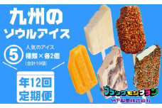 【定期便】 (12ヶ月連続お届け）ブラックモンブラン の 竹下製菓人気アイス10本