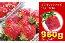 不揃い粒のいちごさん960ｇ（240ｇ×４Ｐ）江島農園  苺