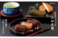 小城羊羹（煉3本、ミニ羊羹2本）と丸ぼうろの詰合せ 山田老舗 詰め合わせ 父の日 母の日 敬老の日 贈答 プレゼント 贈り物 お茶 スポーツ ようかん 一口サイズ ミニサイズ