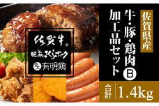 佐賀県産牛・豚・鶏加工品4品Bセット 佐賀牛 肥前さくらポーク 骨太有明鶏使用